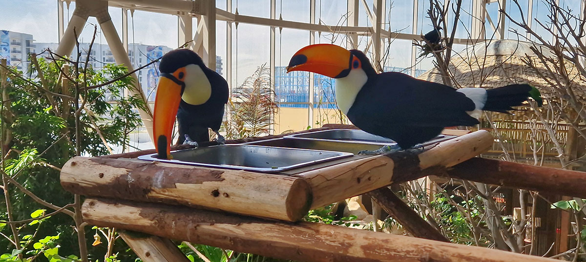Birds inside the Rainforest aviary