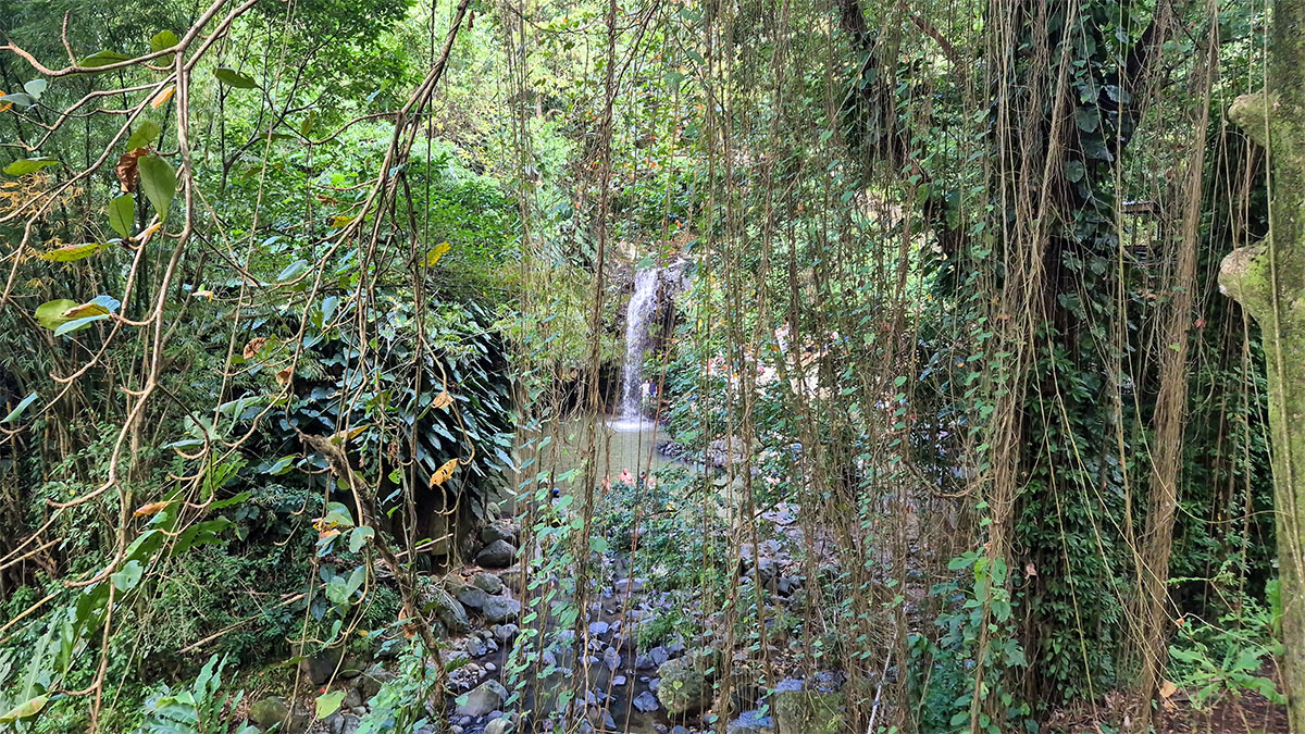 Annandale Waterfalls surrounded by lush tropical rainforest in Grenada
