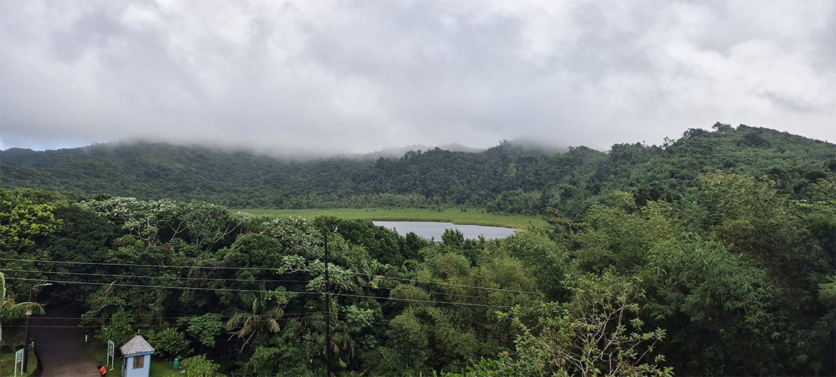 Panoramic view of the lush rainforest from the Morne LaBaye trail lookout in Grand Etang National Park Grenada