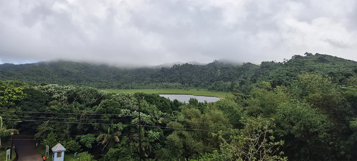 Panoramic view of the lush rainforest from the Morne LaBaye trail lookout in Grand Etang National Park Grenada